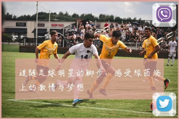追随足球明星的脚步，感受绿茵场上的激情与梦想