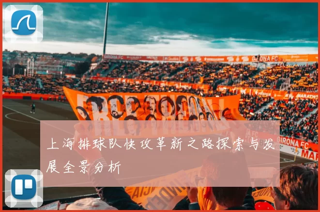 上海排球队快攻革新之路探索与发展全景分析