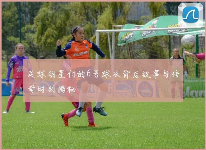 足球明星们的6号球衣背后故事与传奇时刻揭秘