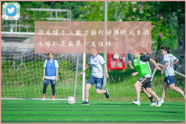 羽毛球个人能力排行榜揭晓北京羽毛球队荣获第六名佳绩