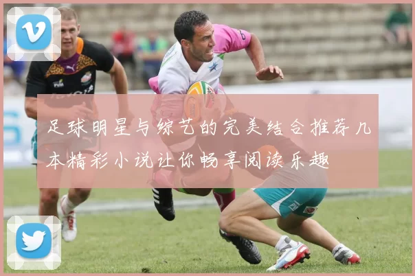 足球明星与综艺的完美结合推荐几本精彩小说让你畅享阅读乐趣