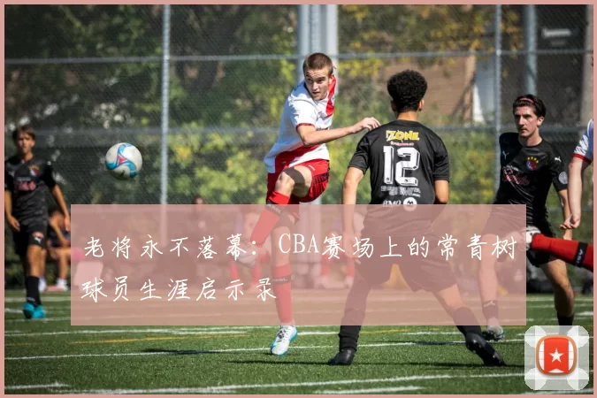 老将永不落幕：CBA赛场上的常青树球员生涯启示录