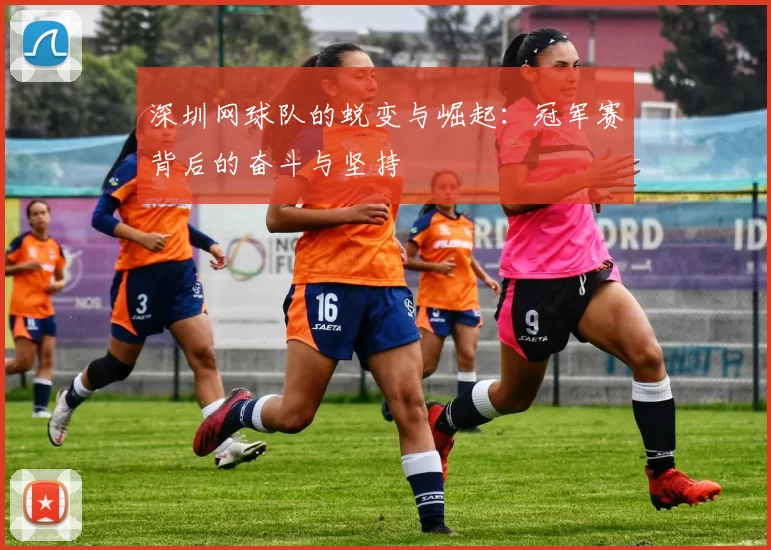 深圳网球队的蜕变与崛起：冠军赛背后的奋斗与坚持