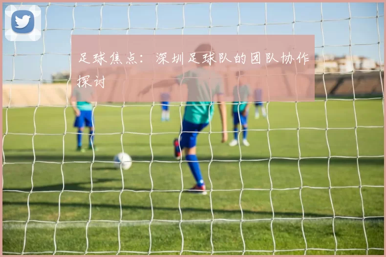 足球焦点：深圳足球队的团队协作探讨