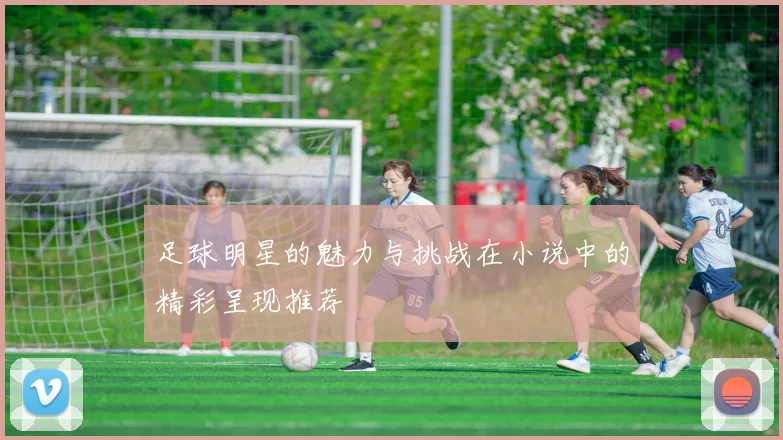 足球明星的魅力与挑战在小说中的精彩呈现推荐