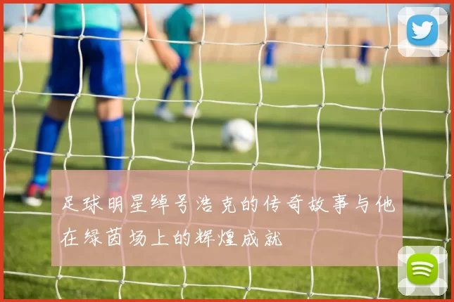足球明星绰号浩克的传奇故事与他在绿茵场上的辉煌成就