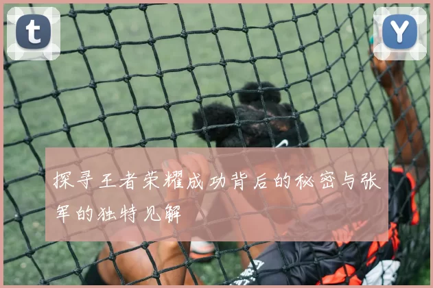探寻王者荣耀成功背后的秘密与张军的独特见解
