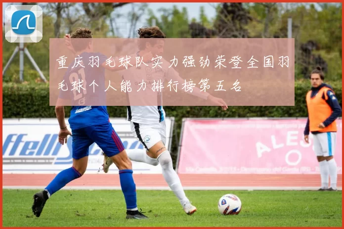 重庆羽毛球队实力强劲荣登全国羽毛球个人能力排行榜第五名