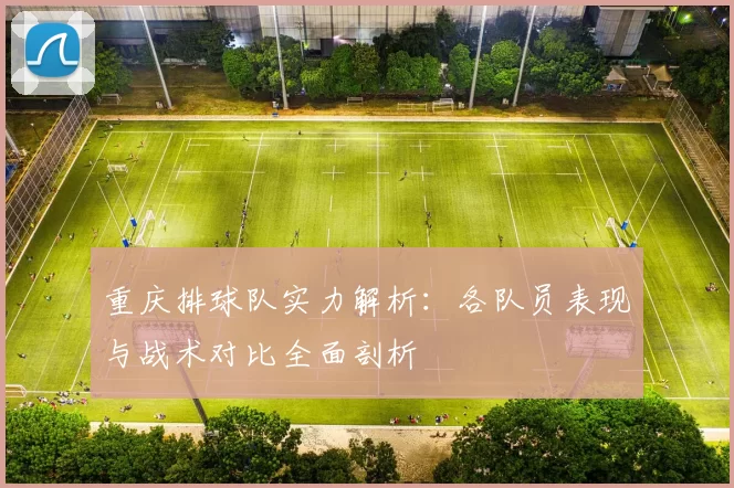 重庆排球队实力解析：各队员表现与战术对比全面剖析