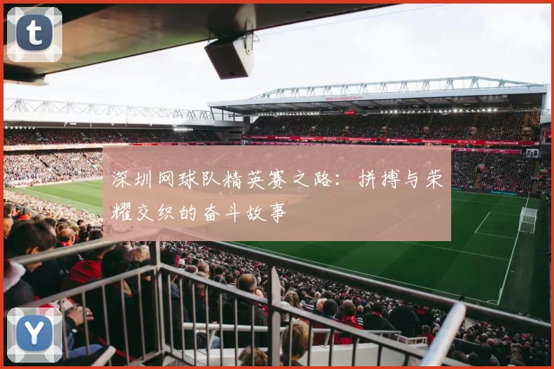 深圳网球队精英赛之路：拼搏与荣耀交织的奋斗故事