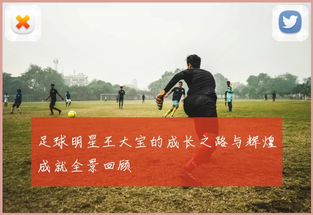 足球明星王大宝的成长之路与辉煌成就全景回顾