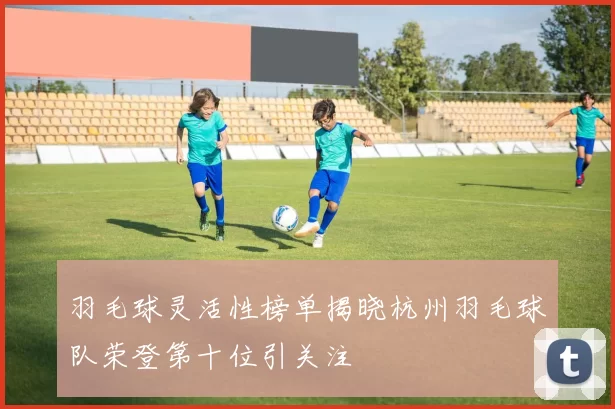 羽毛球灵活性榜单揭晓杭州羽毛球队荣登第十位引关注