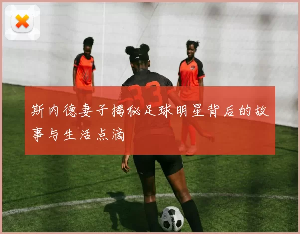 斯内德妻子揭秘足球明星背后的故事与生活点滴