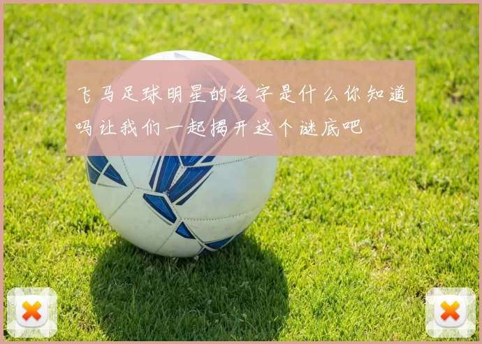 飞马足球明星的名字是什么你知道吗让我们一起揭开这个谜底吧
